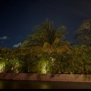 Meet your Posher, Layla